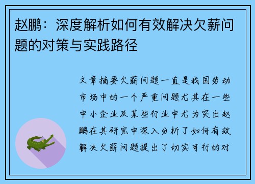 赵鹏：深度解析如何有效解决欠薪问题的对策与实践路径